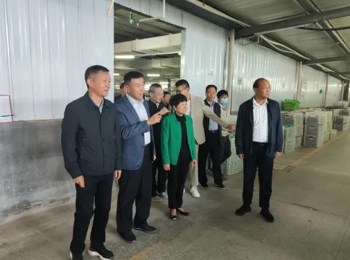 中国纱线网专家团队助力微山纺织产业发展