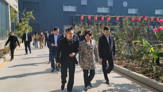 薛城市委市委“两新”工委书记刘侠 