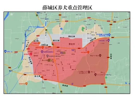 关于划定薛城区养犬管理区域的通告