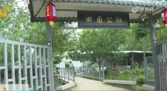周营田园公社猕猴桃园